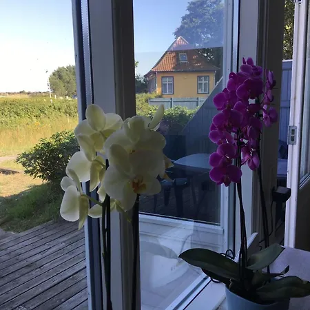 Skaerven Beachfront C By Interhome