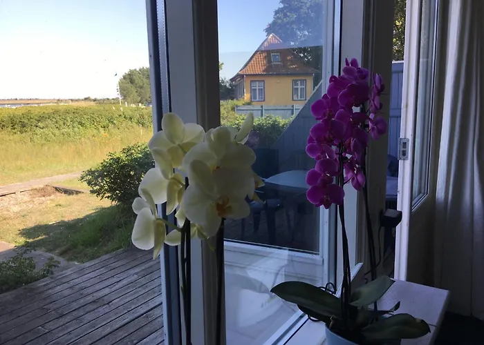 Skaerven Beachfront C By Interhome